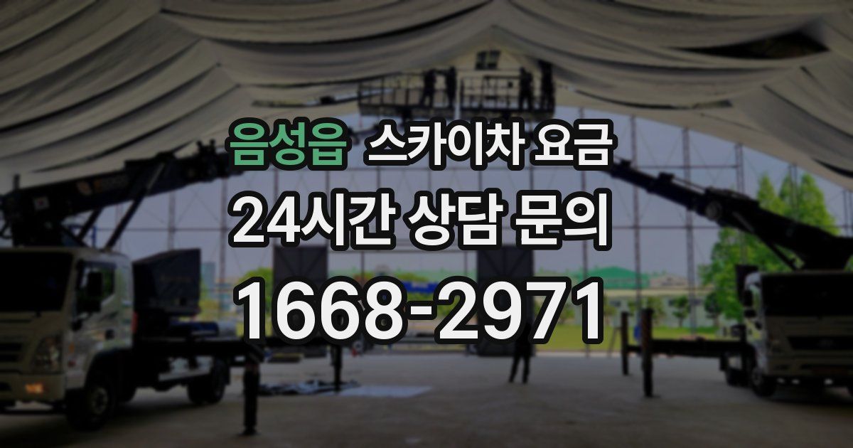 음성읍 스카이차 요금