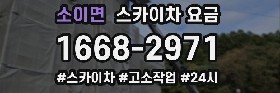 소이면 스카이차 요금