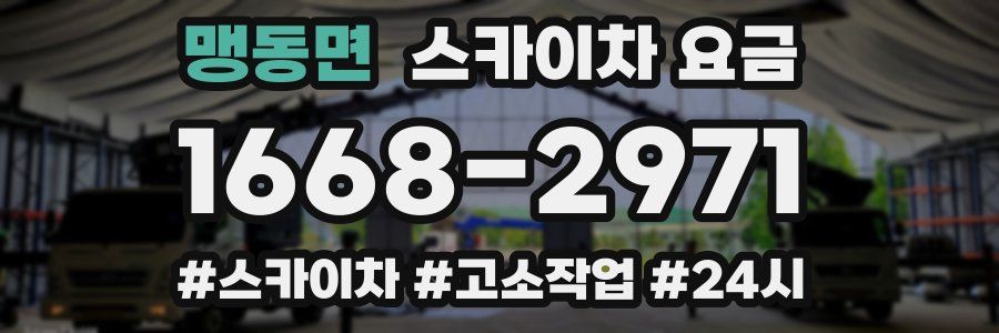 맹동면 스카이차 요금