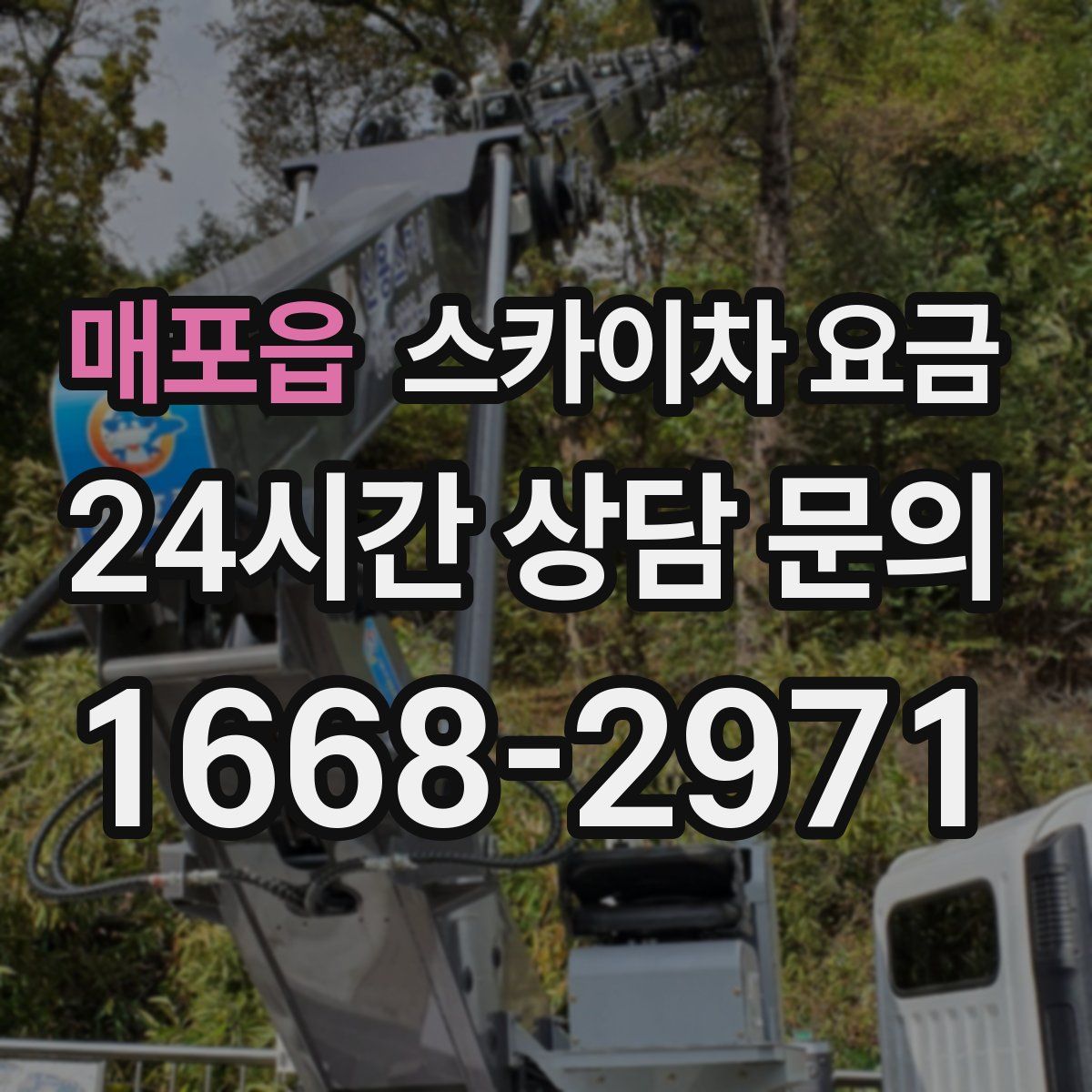매포읍 스카이차 요금