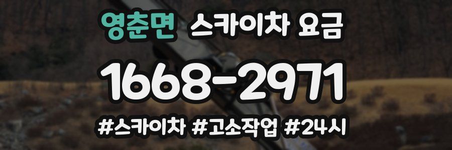 영춘면 스카이차 요금