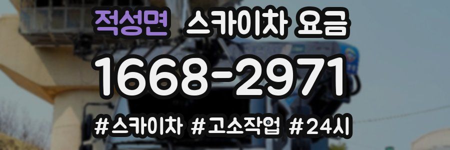적성면 스카이차 요금