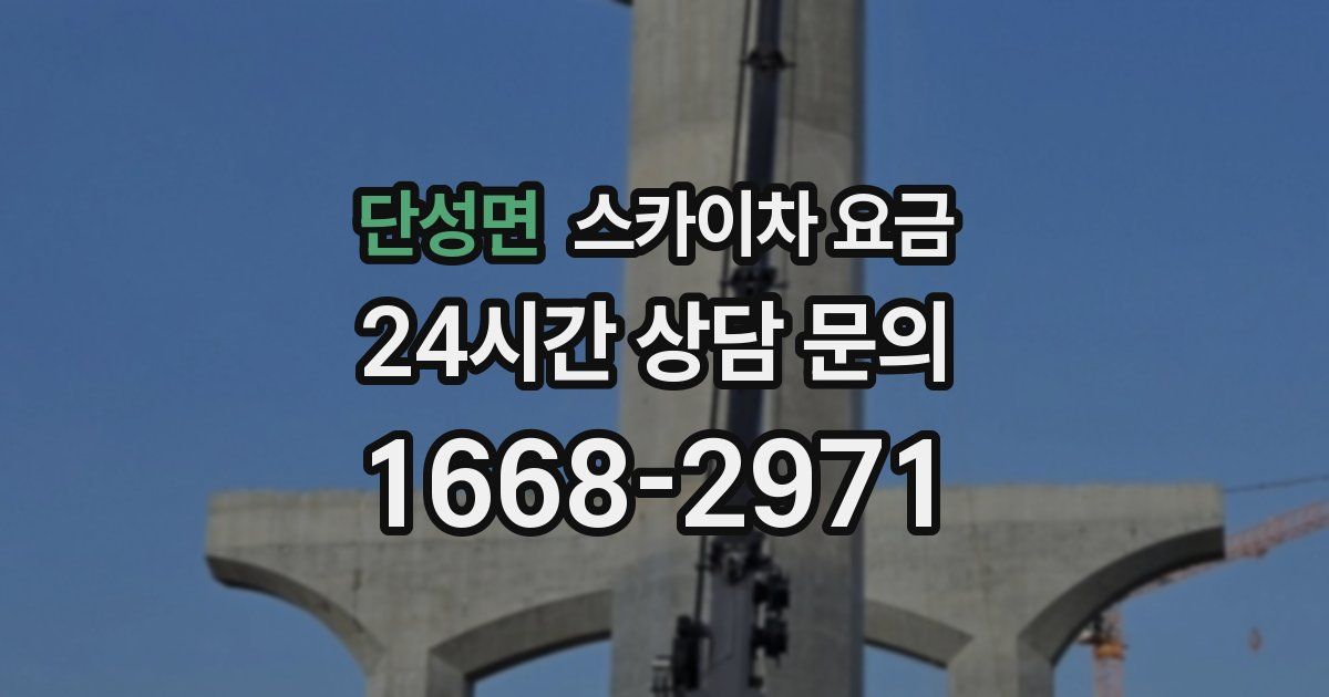 단성면 스카이차 요금