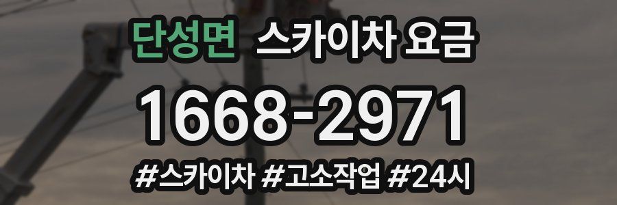 단성면 스카이차 요금