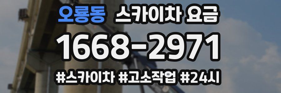 오룡동 스카이차 요금