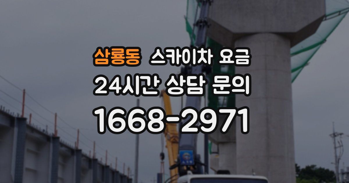 삼룡동 스카이차 요금