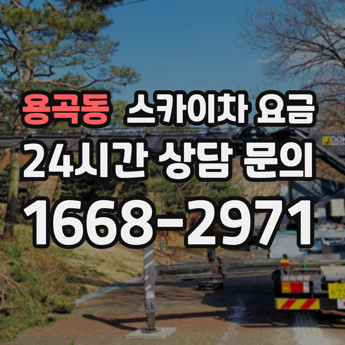용곡동 스카이차 요금