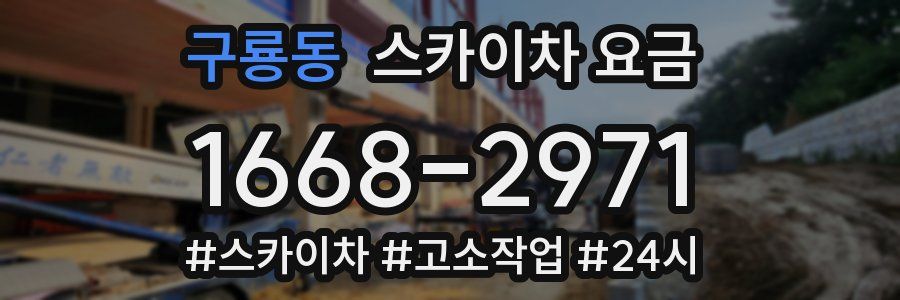 구룡동 스카이차 요금