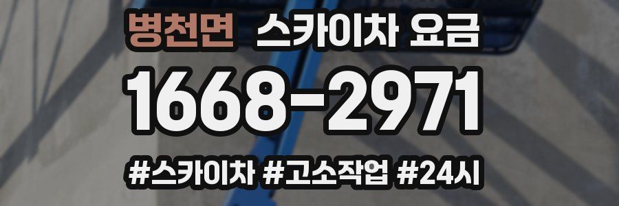 병천면 스카이차 요금