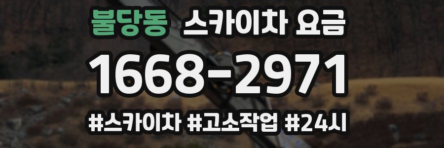 불당동 스카이차 요금
