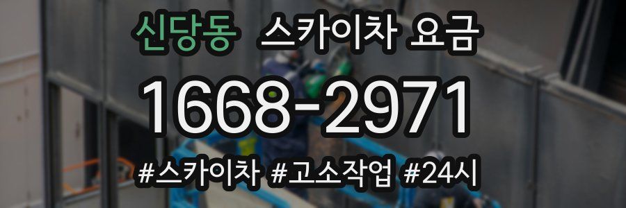신당동 스카이차 요금