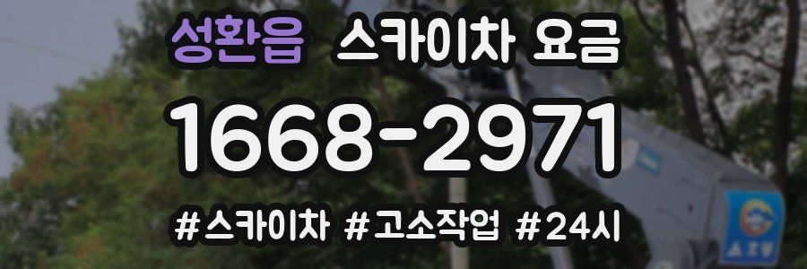 성환읍 스카이차 요금