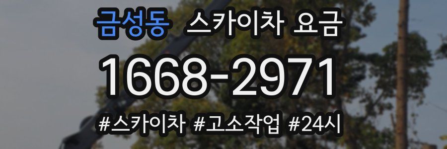 금성동 스카이차 요금