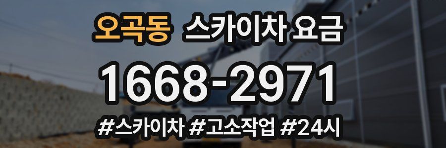 오곡동 스카이차 요금