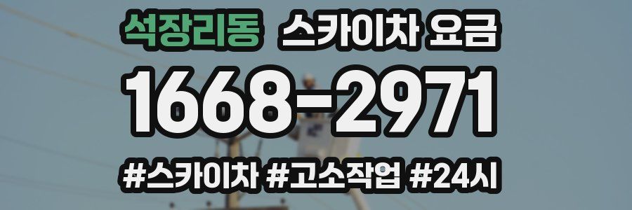 석장리동 스카이차 요금