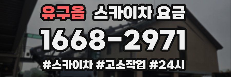 유구읍 스카이차 요금