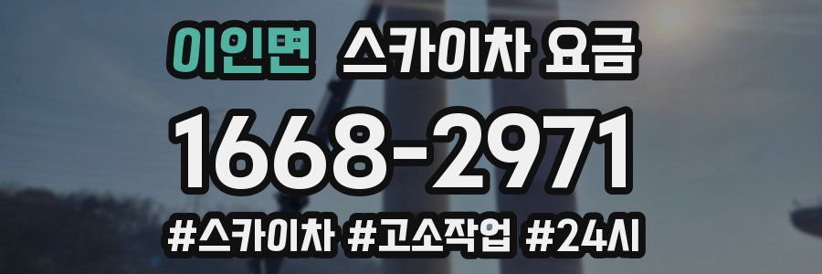 이인면 스카이차 요금