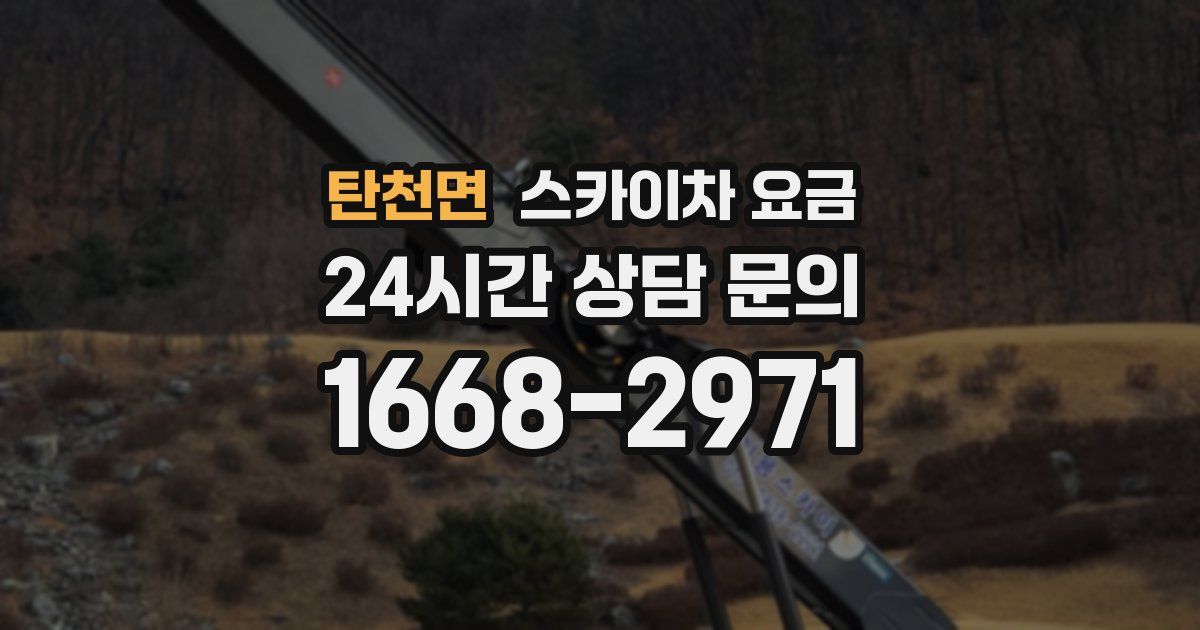 탄천면 스카이차 요금