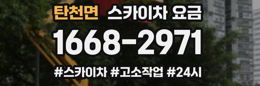 탄천면 스카이차 요금