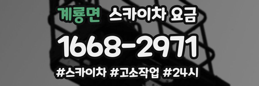 계룡면 스카이차 요금