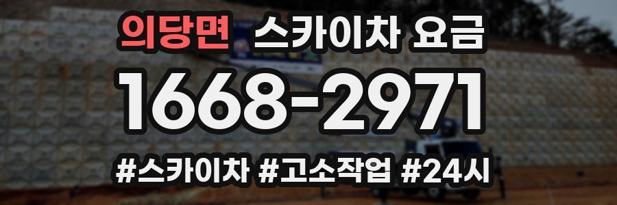 의당면 스카이차 요금