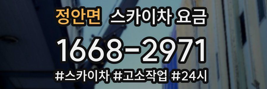 정안면 스카이차 요금