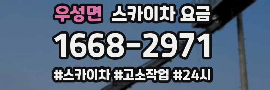 우성면 스카이차 요금