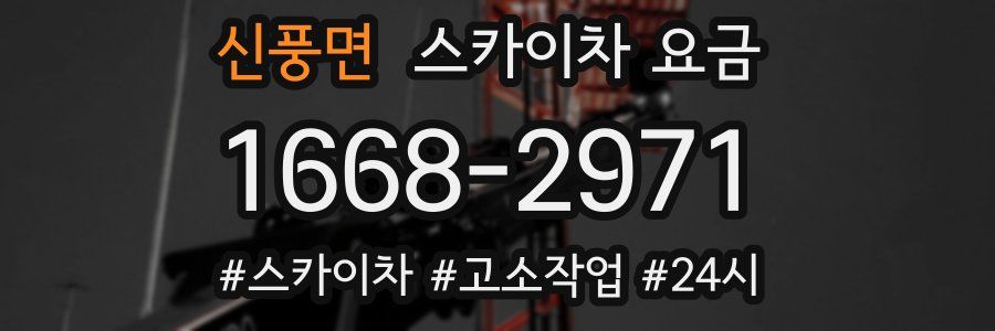 신풍면 스카이차 요금