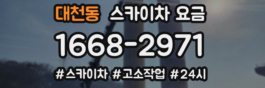 대천동 스카이차 요금