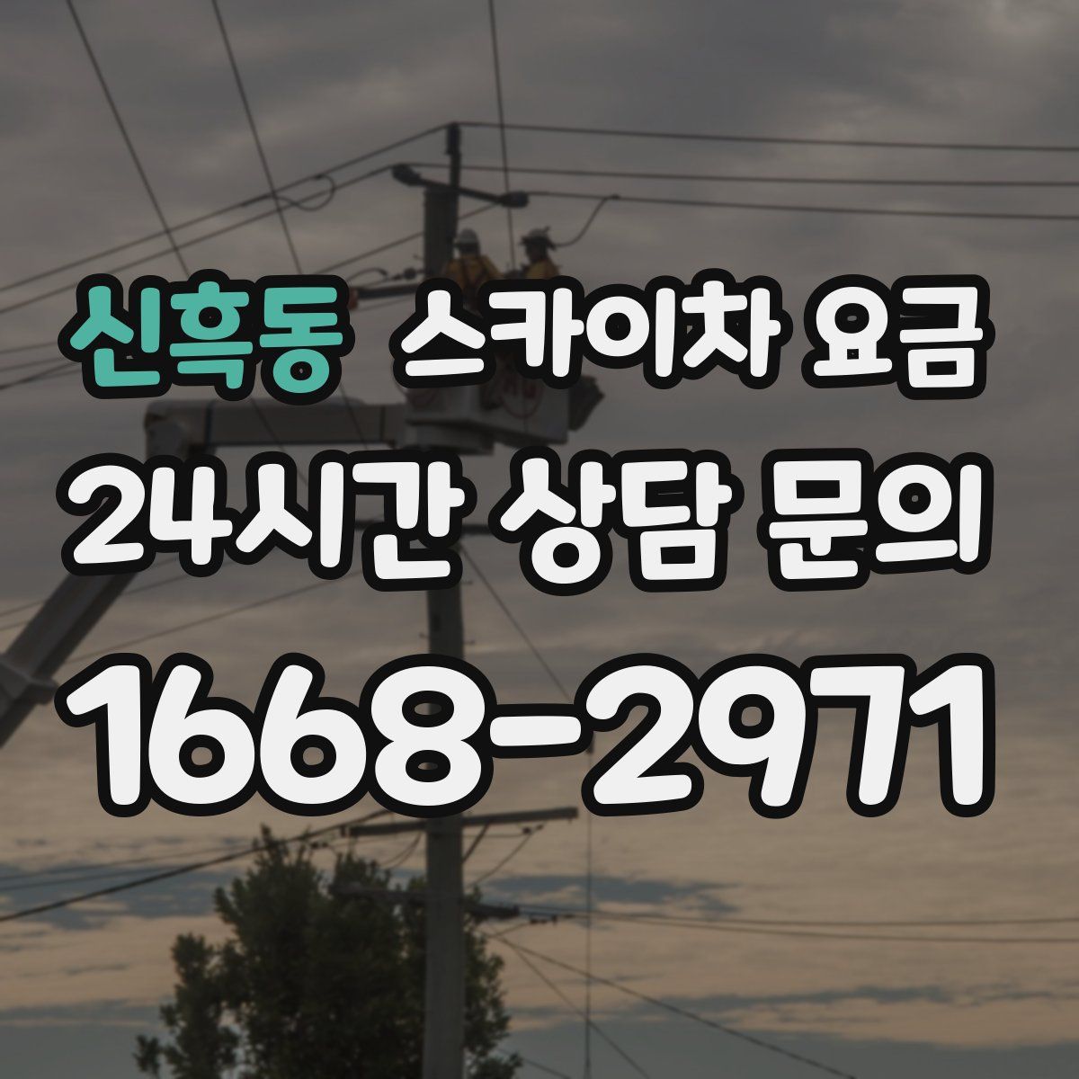 신흑동 스카이차 요금