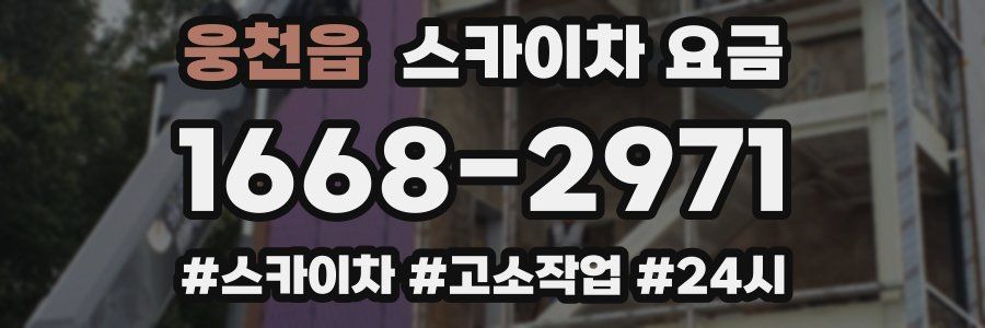 웅천읍 스카이차 요금