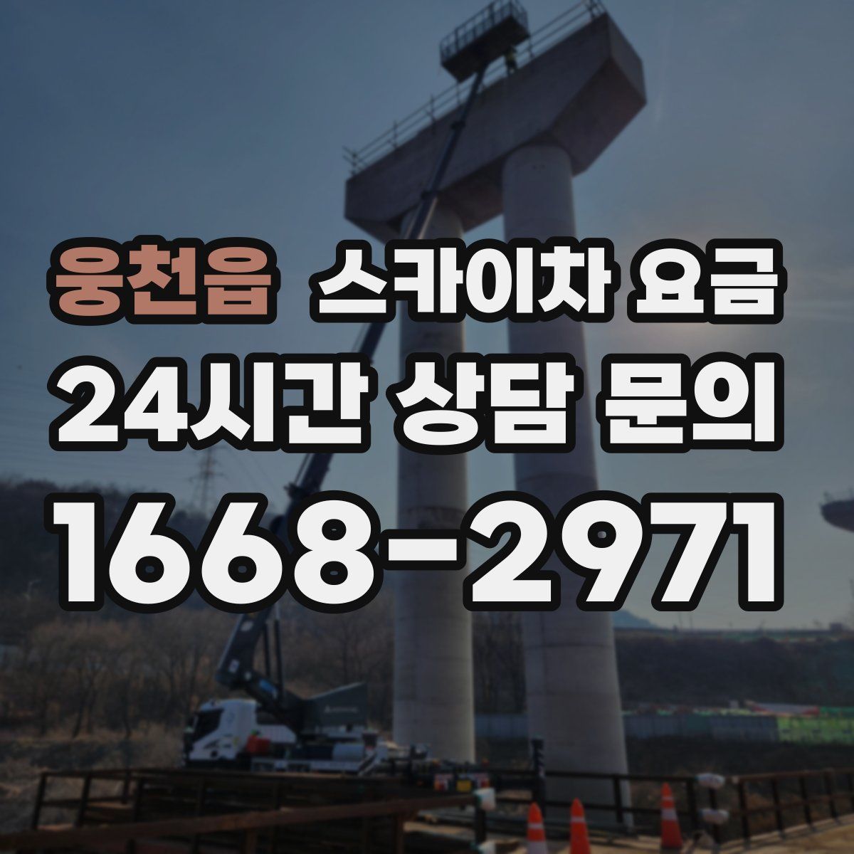 웅천읍 스카이차 요금