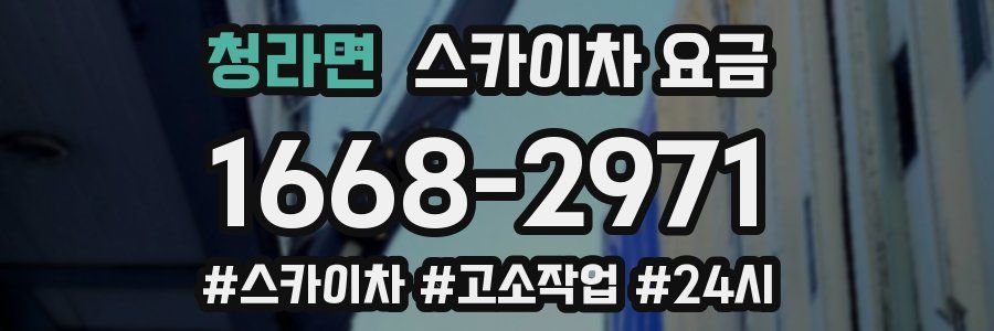 청라면 스카이차 요금