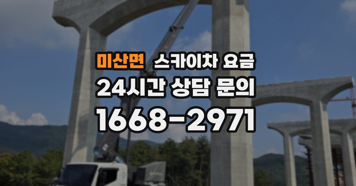 미산면 스카이차 요금