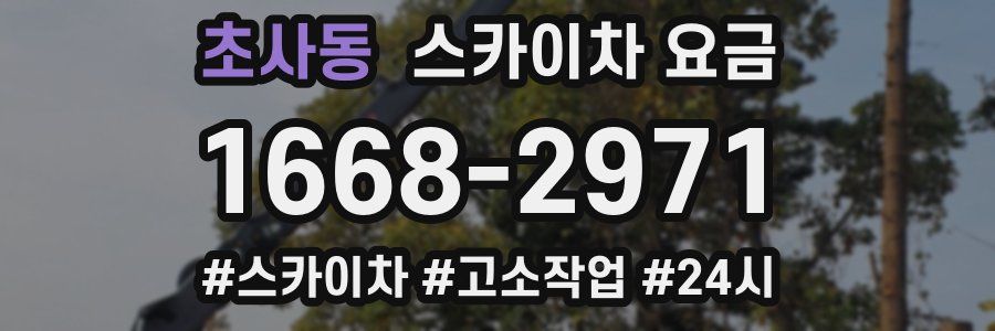 초사동 스카이차 요금