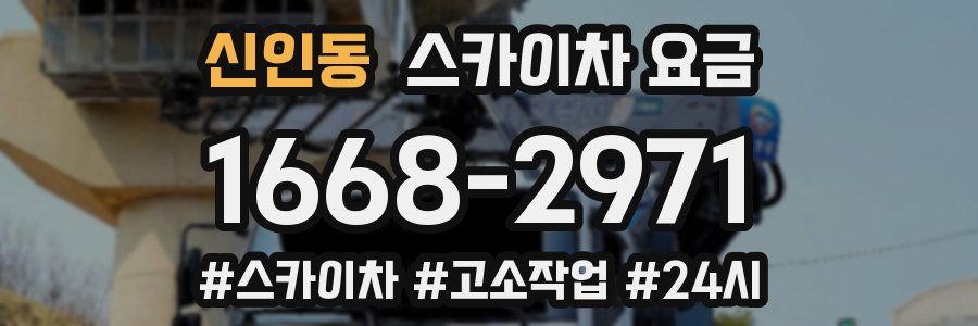 신인동 스카이차 요금