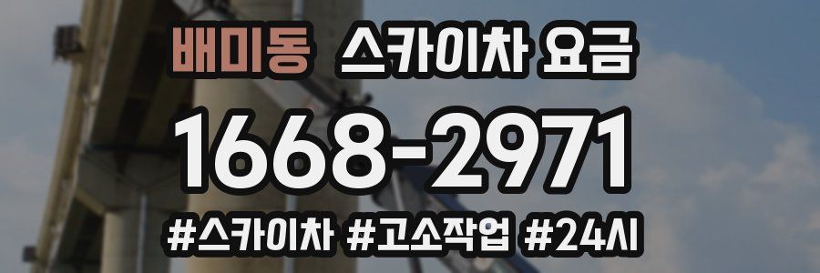 배미동 스카이차 요금