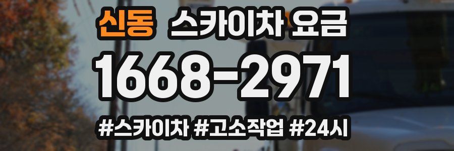 신동 스카이차 요금