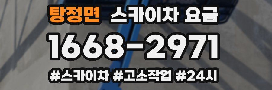 탕정면 스카이차 요금