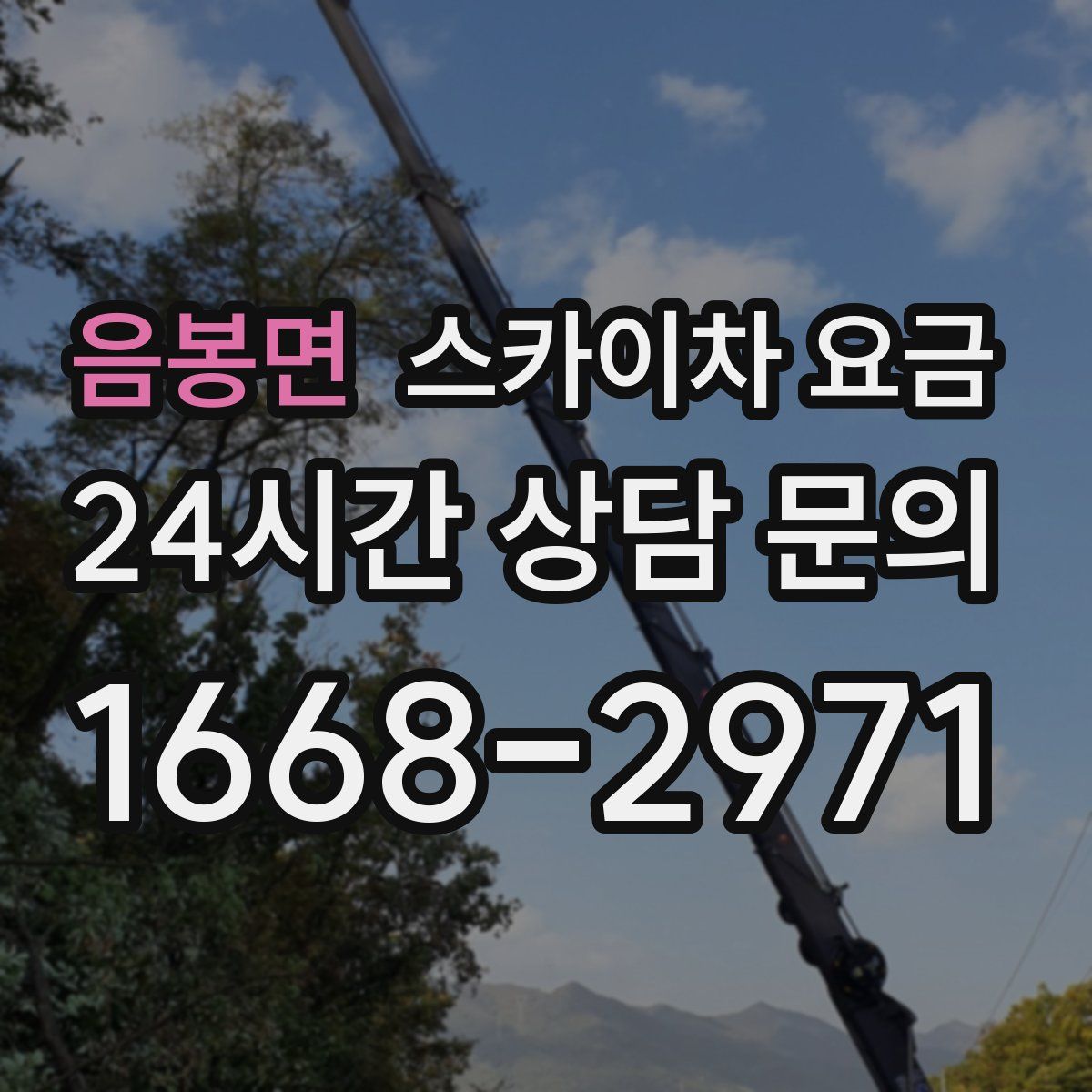 음봉면 스카이차 요금