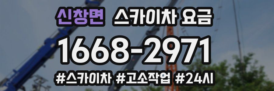신창면 스카이차 요금