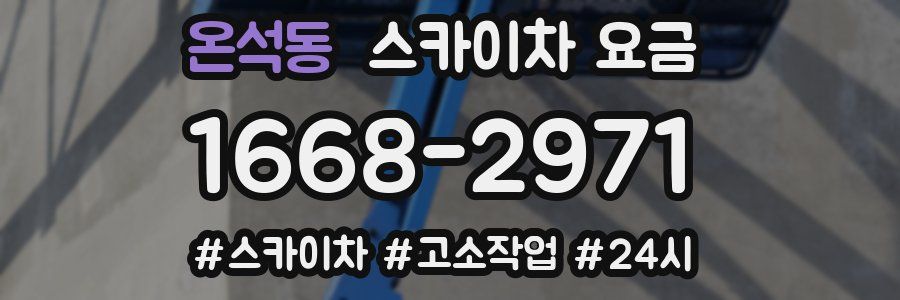 온석동 스카이차 요금