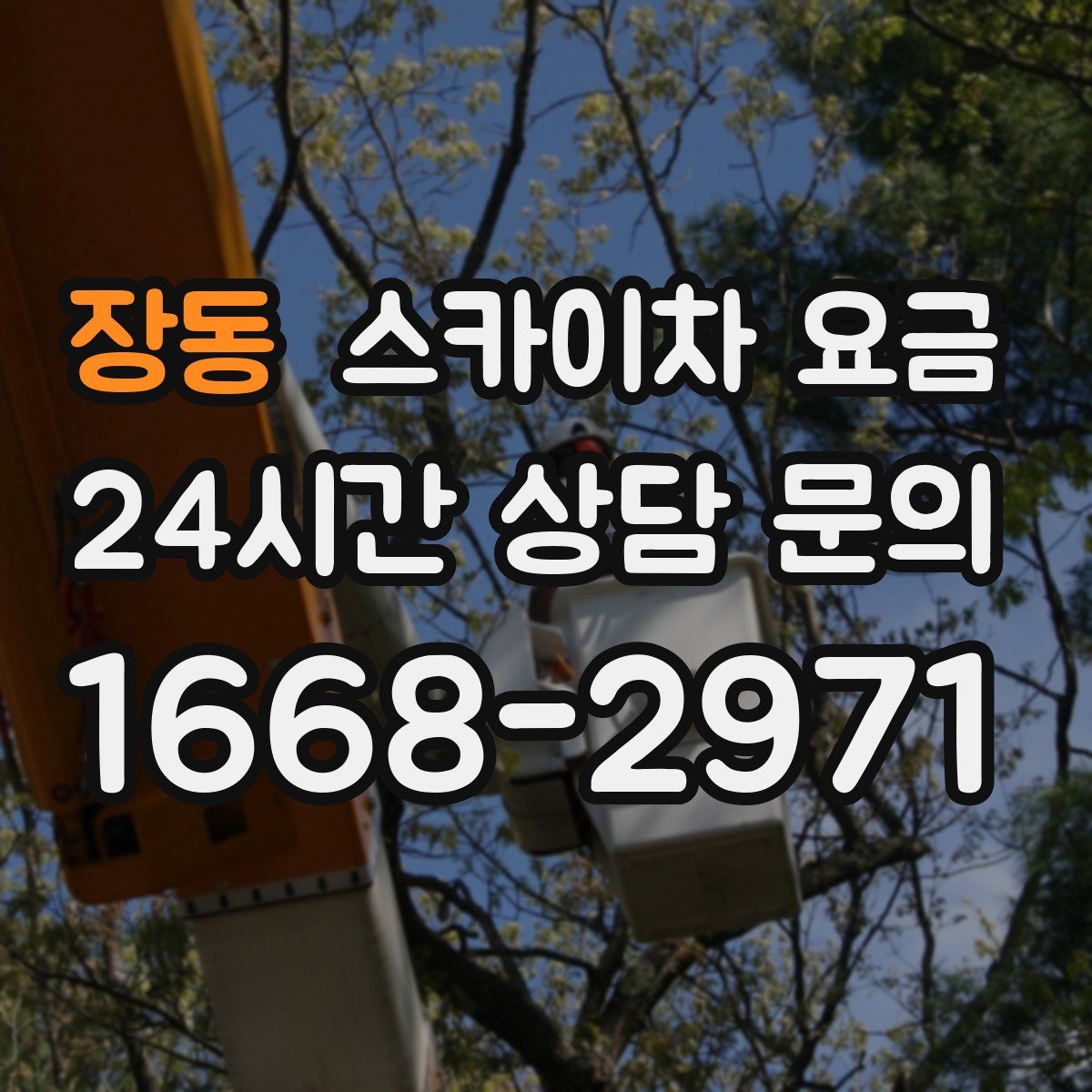 장동 스카이차 요금