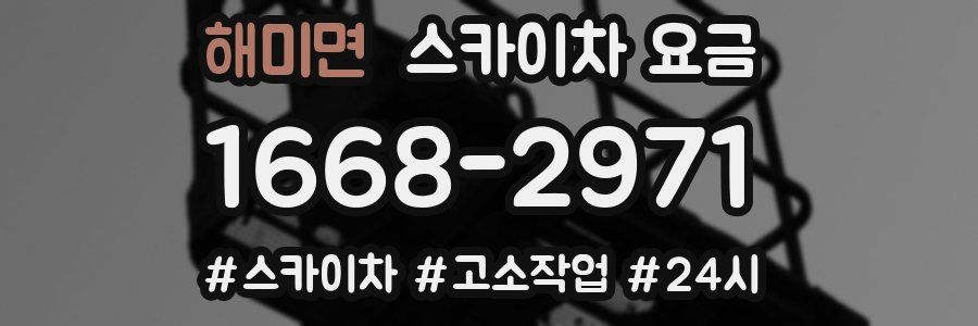 해미면 스카이차 요금