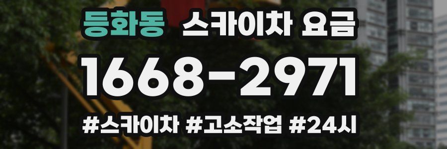 등화동 스카이차 요금