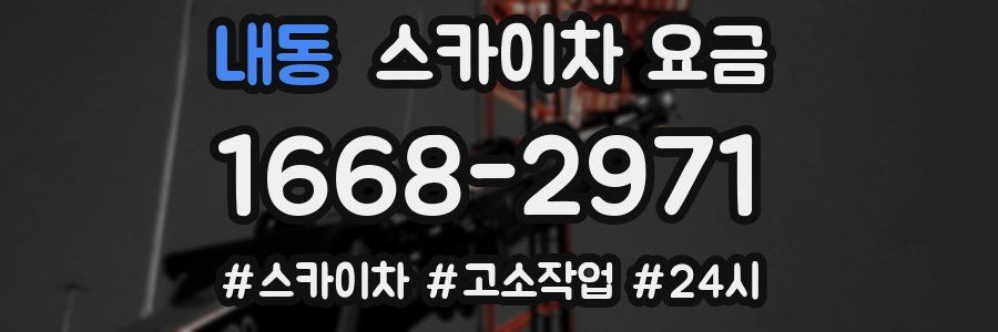 내동 스카이차 요금