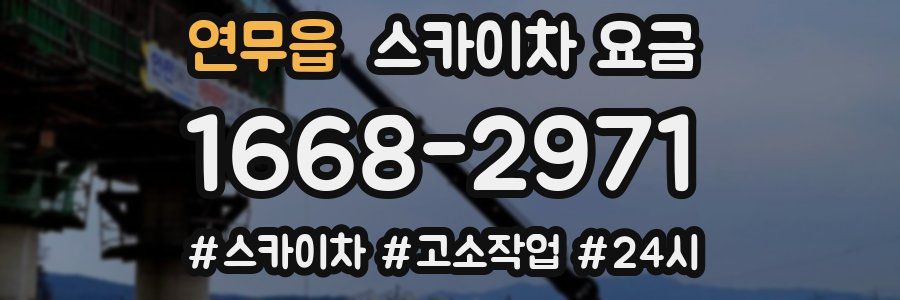 연무읍 스카이차 요금