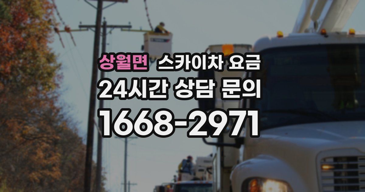 상월면 스카이차 요금