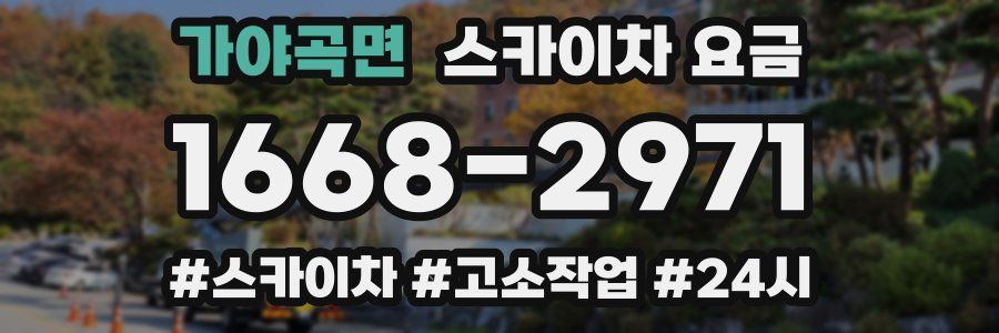 가야곡면 스카이차 요금