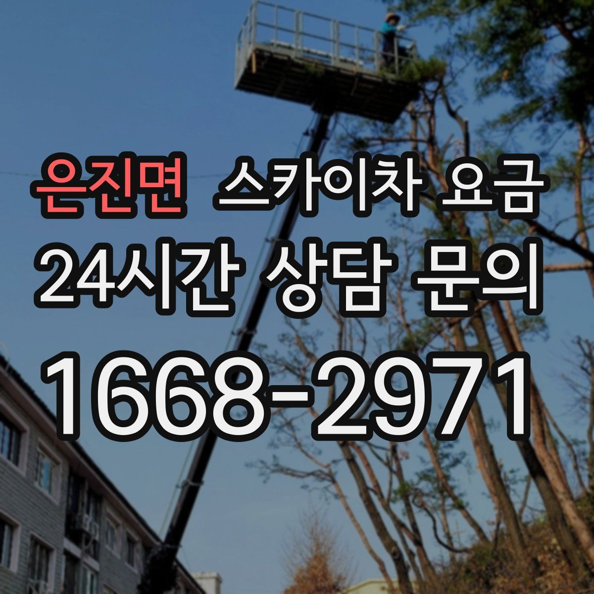 은진면 스카이차 요금